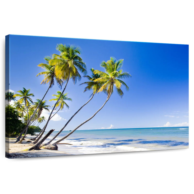 Gillard Trinidad Coast Palms, H 8 po x l 12 po