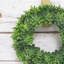 7.5" Frosted Succulent Gem Lotus Wreath