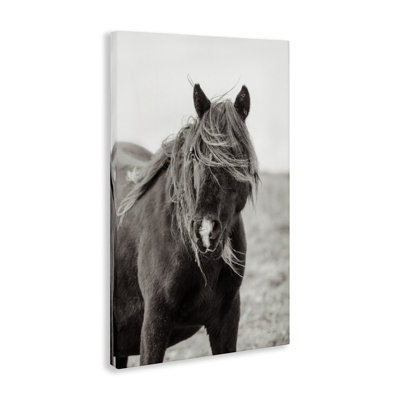Art mural sur toile Wild Pony with Windy Mane, design par Deborah Revell