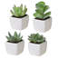 10.5cm Faux Succulent Plant in Ceramic Pot
