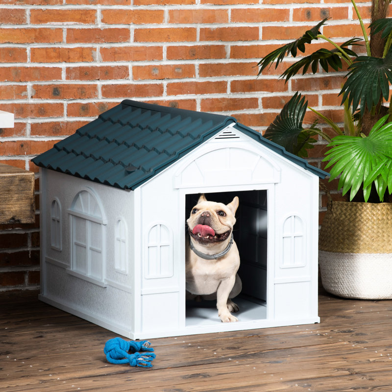 Cabane canine en plastique - bleu, pour petits et moyens chiens, imperméable, facile à rendre imperméable, facile à assembler