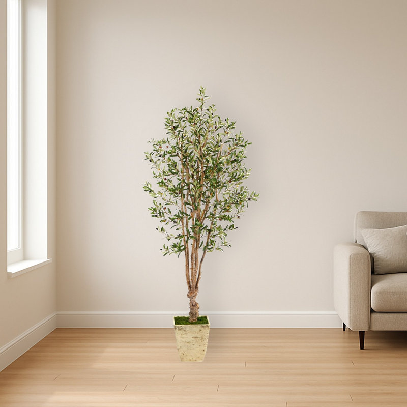 Artificial Olive Tree in Country White Planter