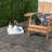 Ajacia Geometric Black Indoor/Outdoor Area Rug-731467098