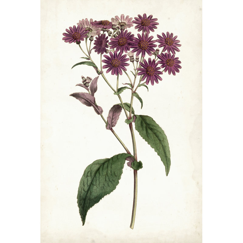 Lavender Florals IV by Curtis - Painting, 76 cm H x 51 cm W, Black Floater Frame