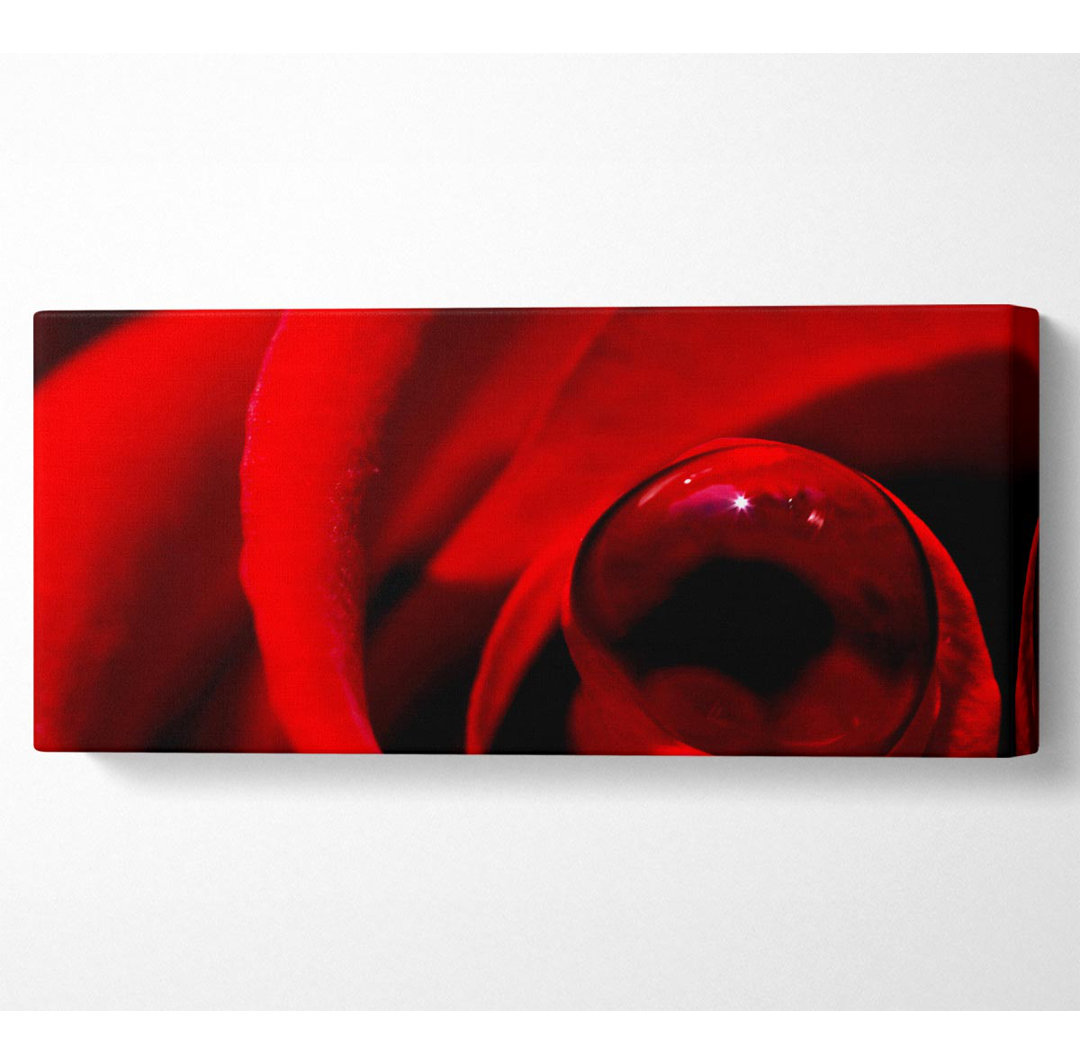 Rote Rose in der Mitte des Taus - Panorama-Kunstdrucke auf Canvas-Leinwand