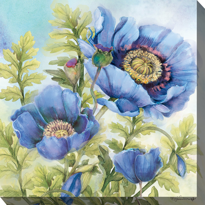 Art extérieur bleu coquelicots