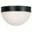 Capsule 12'' Outdoor Flush Mount
