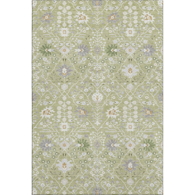 Premium Machine Washable Colmenero AMF1009 Oriental Rug
