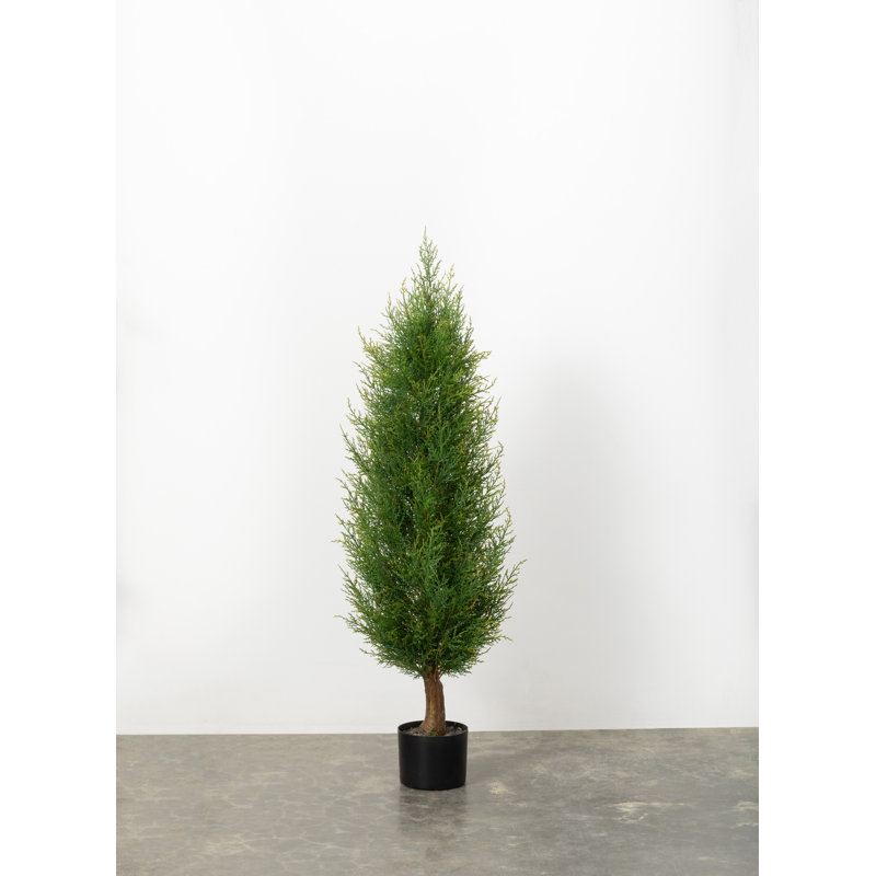 Cèdre artificiel Arborvitae