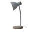 Gerede Metal Desk Lamp-418020313