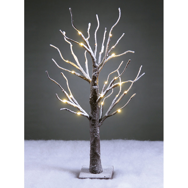 Bonsai enneigé 24 lumières à DEL