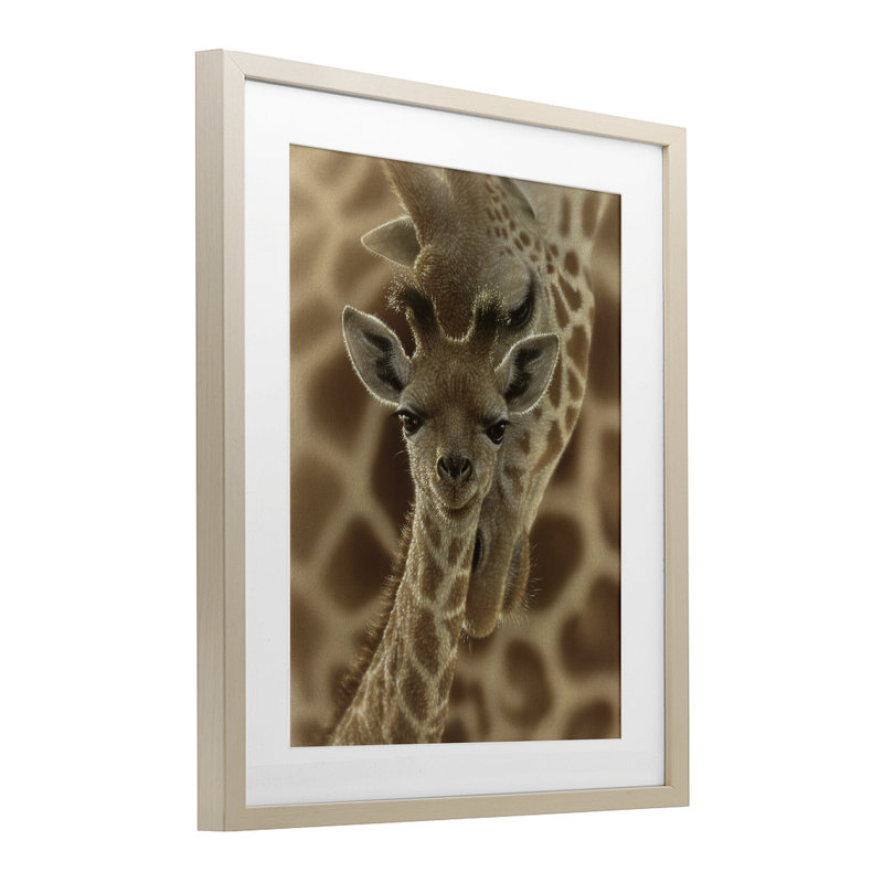 «Newborn Giraffe Calf», reproduction sous verre, conception de Collin Bogle, Cadre de récolte en pin, H 21 po x l 17 po