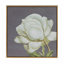 Blanc et or botanique - ensemble de 4 reproductions sur microfibre sans cadre
