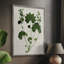 «Forest Foliage on Linen», reproduction encadrée en bois massif-1405907674