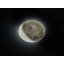 Cornwell 1-Light LED Flush Mount