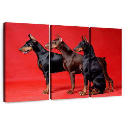 Trio Brampt Doberman