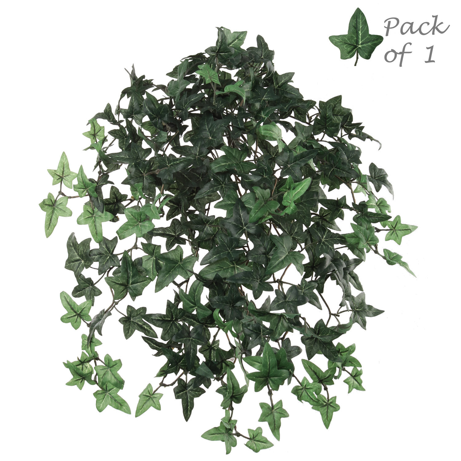 20" Ivy Plant, 1