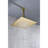 High Stainless Steel Shower Head - Brushed Gold For Bathroom 12x12 In Water Saving With Self-cleaning Attribute Showerhead Feature Pattern-118625558
