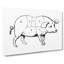 Butchers Pork Cuts - Wrapped Canvas-61848577