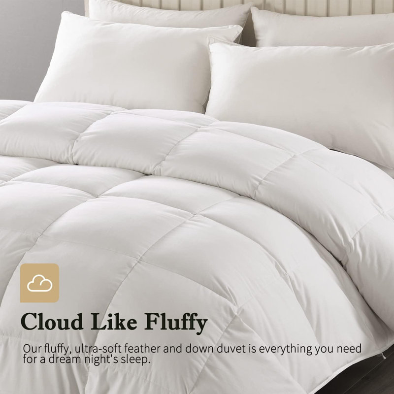 All Season Duvet Insert - 100% Cotton Shell Goose Feather Down Comforter with 8 corner tabs, Queen