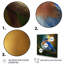 Magnifique oiseau bleu brillant sur une branche III - oiseau, art mural-1365005314-1365005327
