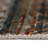 Hand Knotted Wool Geometric Indoor Rug-313006330
