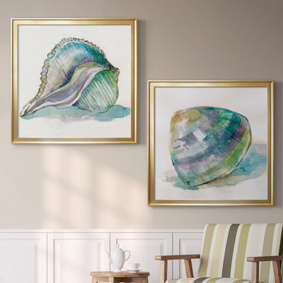 Malecon Shell I - Antique Nautical Study, Matted and Framed Under Glass, Set of 2, Coastal Wall Art for Living Room