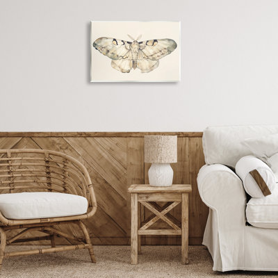 «Dusty Beige Moth», plaque murale par Petal Prints Design
