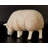 Brona Texelaar Baby Sheep Head Down Life Size Statue