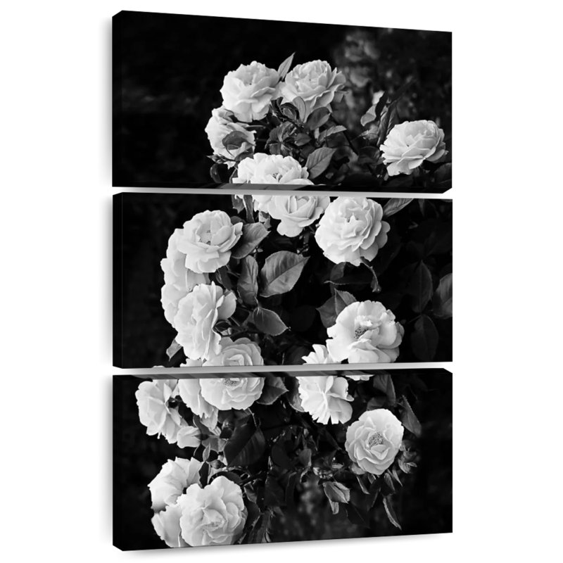 Rosier monochrome, H 38 po x l 24 po