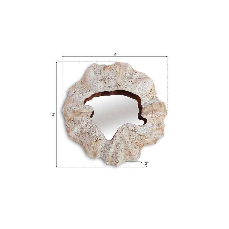 Barnacle Wall Décor