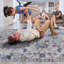 Tapis tissé à la machine Naar Marfi, bleu / argent / oriental-1143592231