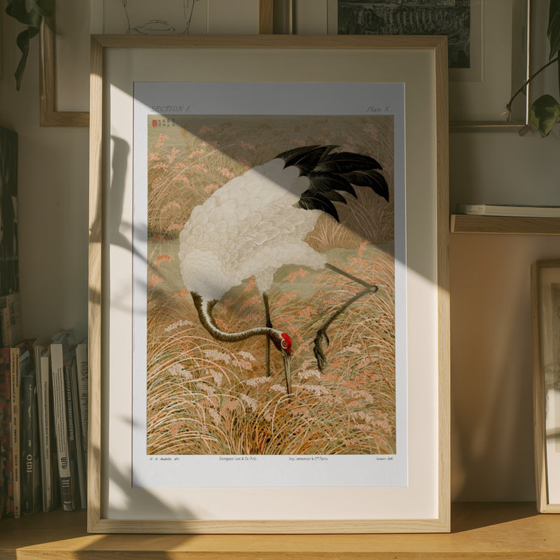 Wrapped Canvas Print, 121.92 cm H x 81.28 cm W