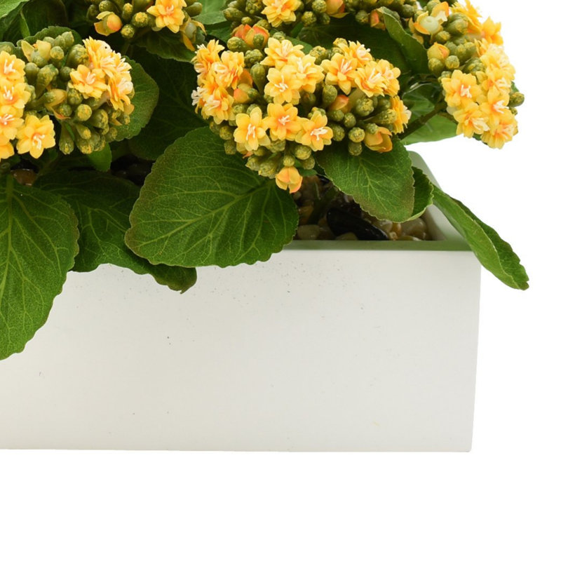 Kalanchoe Arrangement in Fiberstone Planter, Yellow, 9.5" H x 18" W x 9.5" D