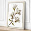 Flowering Branch Botanical - Wrapped Canvas-2109785056-2109785069