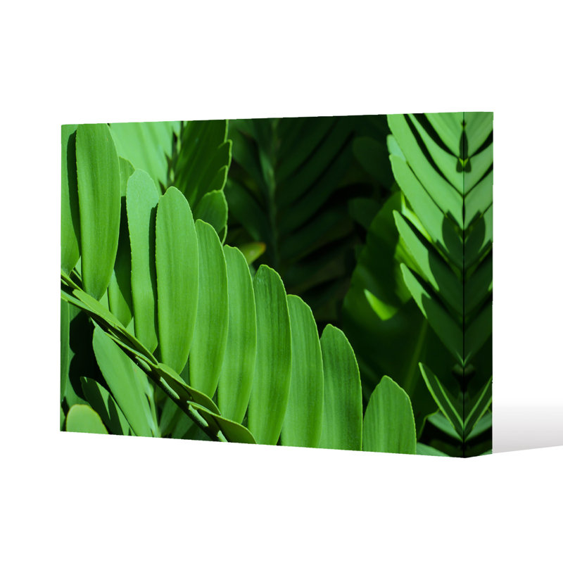 Andrew Lee - Wrapped Canvas Print