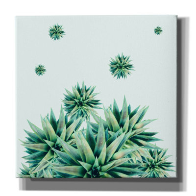 " Tropical Stars " by Mark Ashkenazi