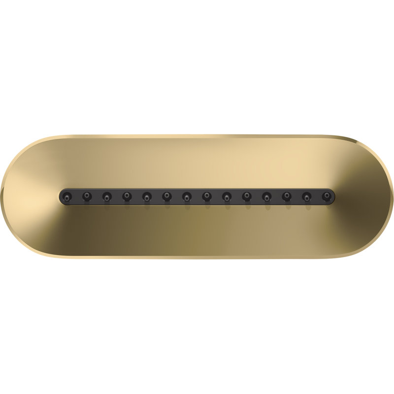 Statement™ Oblong Vichy 2.5 Gpm Body Spray, Vibrant Brushed Moderne Brass