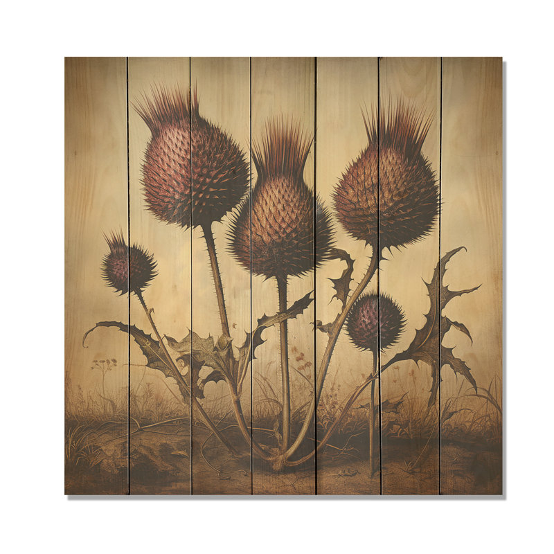 Retro Thistle Floral Charm I - Thistle On Wood Print, 36" H x 36" W