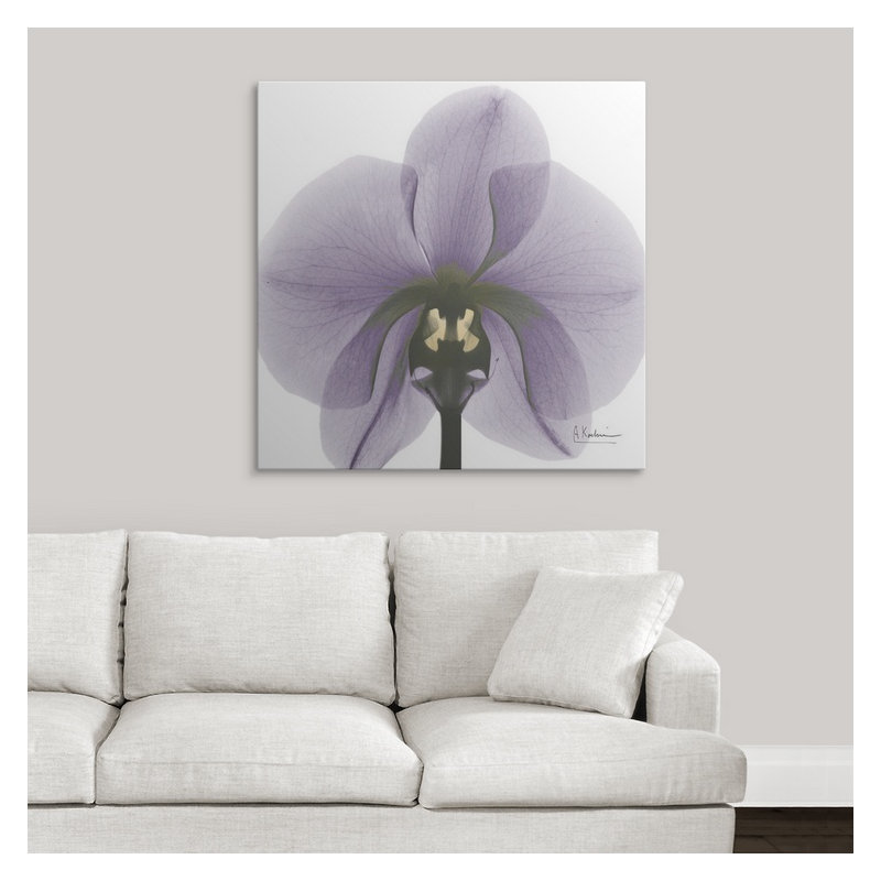 'Orchid X-Ray by Albert Koetsier Photographic Print, 20" H x 20" W x 1.5" D, Canvas