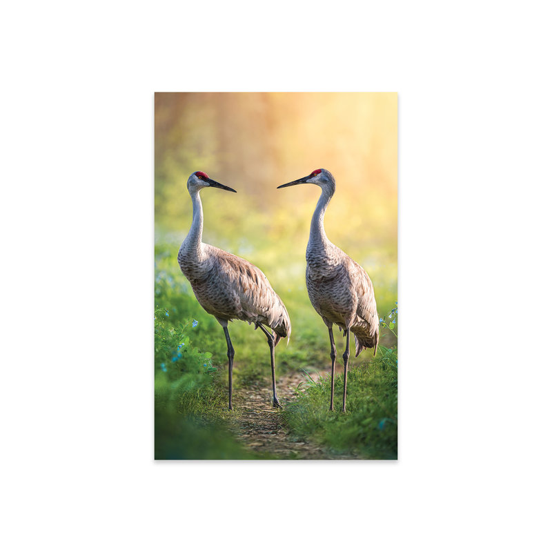 Talking Cranes par Patsy Weingart