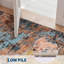 Tapis d'intérieur abstrait d'inspiration artistique abstraite, tapis à poils courts à motif de peinture à l'huile délavé avec surface douce, facile à nettoyer et résistant aux taches pour le salon, la chambre à coucher, l'entrée, le bureau-1371055014