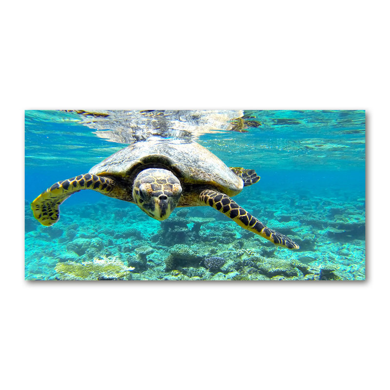 Sea Turtle - Wrapped Canvas Print