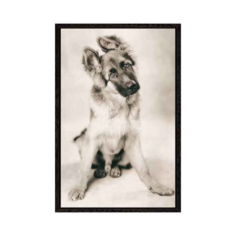 Carlos 1 Piece Wall Art on Canvas, 101.6 cm H x 66.04 cm W, Black Framed