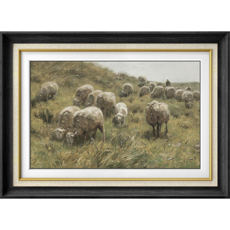 Animaux, moutons, pâture, herbe verte, impression sur papier, Cadre noir, Pas de tapis