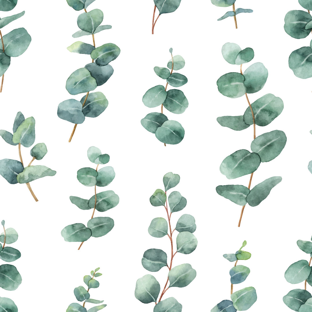 Eucalyptus Leaves And Branches by ElenaMedvedeva - Wrapped Canvas Painting