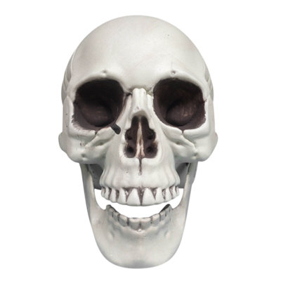 Halloween Skeletons Plastic Realistic Fake Simulation Human Skull HeadBone Model Halloween Prop Realistic Mini Skeleton Spooky Halloween Decoration