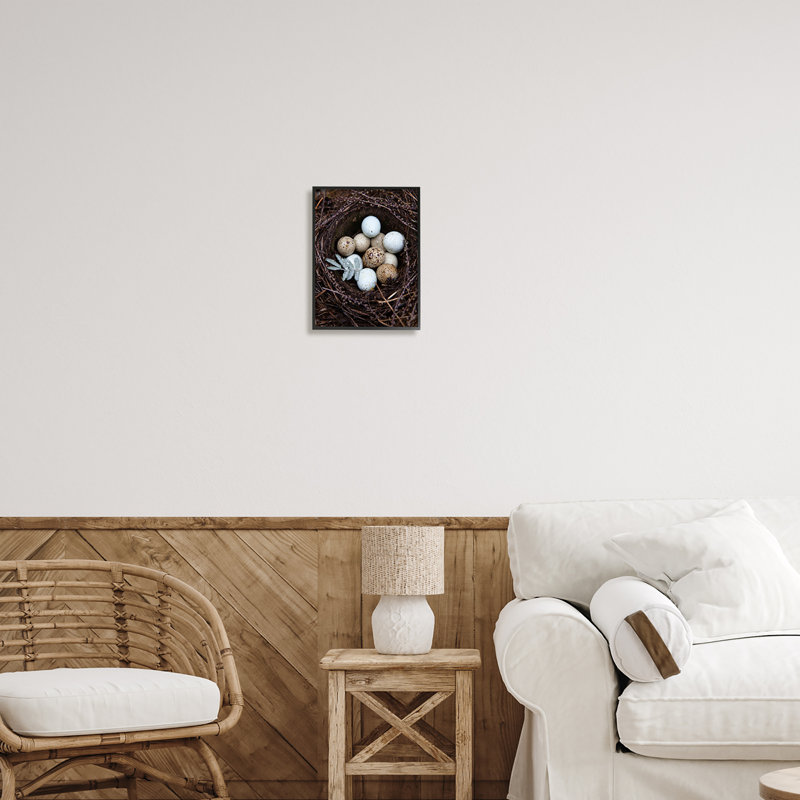 Gros plan sur des œufs d'oiseaux, Giclée encadrée noir minuit, H 14 po x l 11 po x P 1,5 po