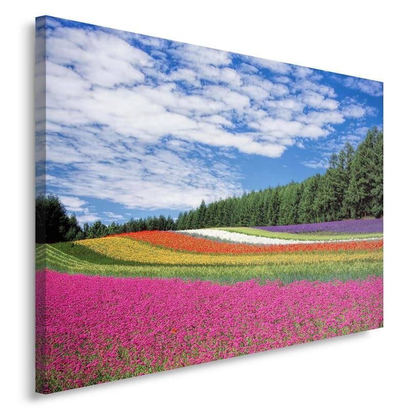 Leinwandbild Blumenfelder