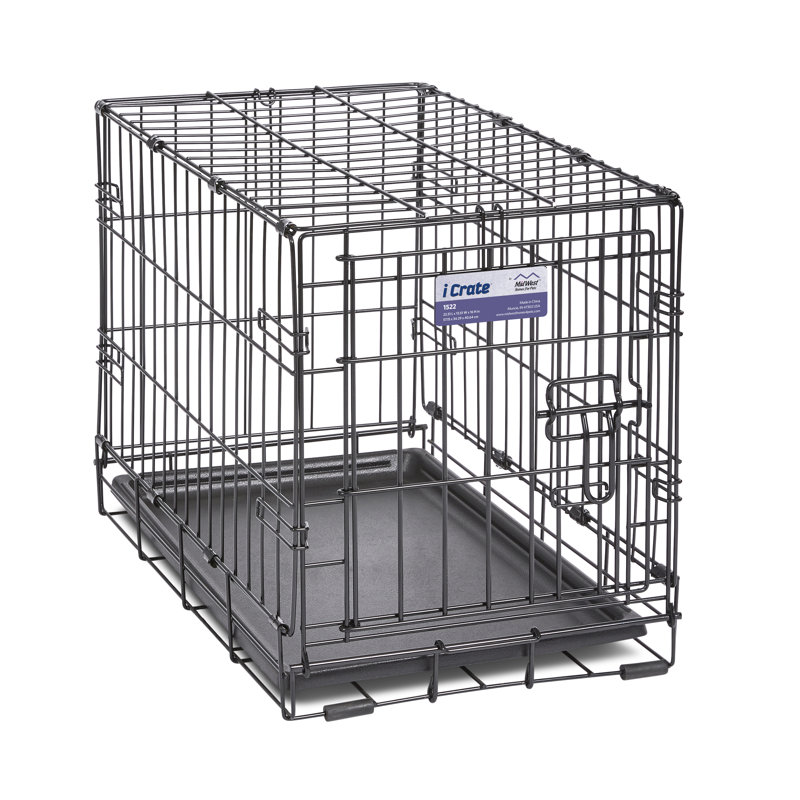 Ensemble de démarrage configurable cherri new chiot